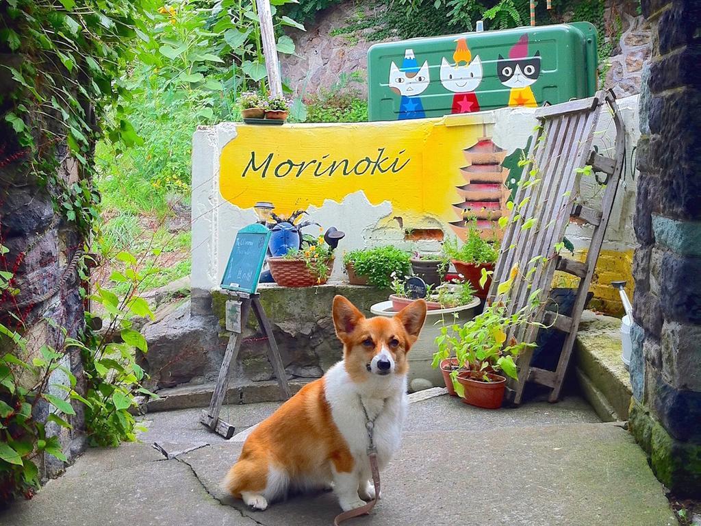 The Otaornai Backpacker'S Hostel Morinoki Otaru Luaran gambar